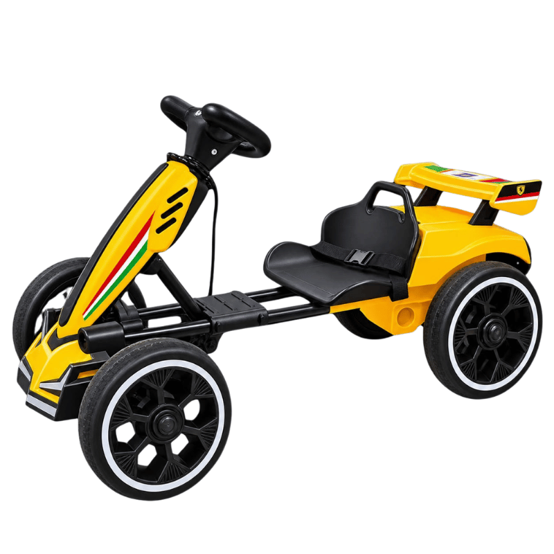 Moto eléctrica 2